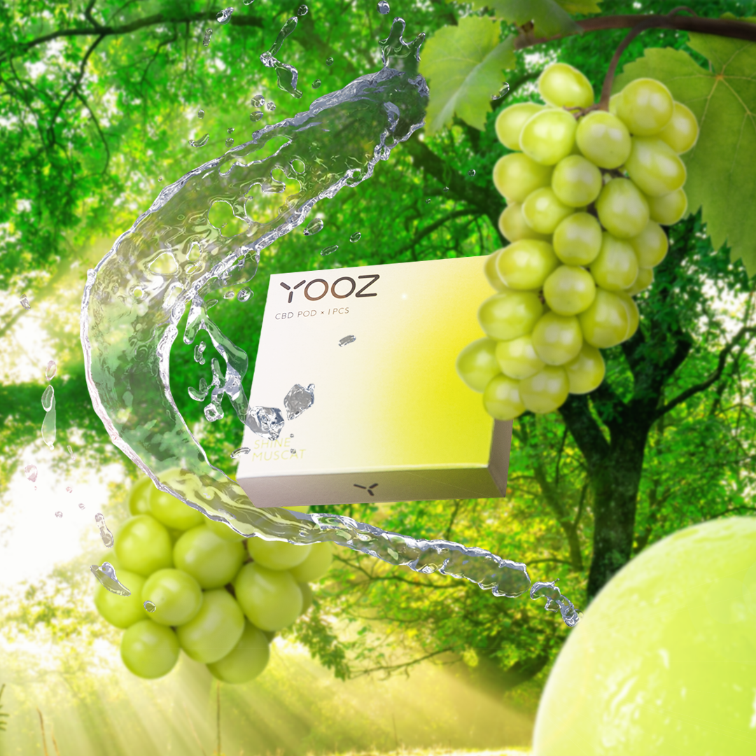 CBD Pods – Yooz-Japan (non-nicotine)